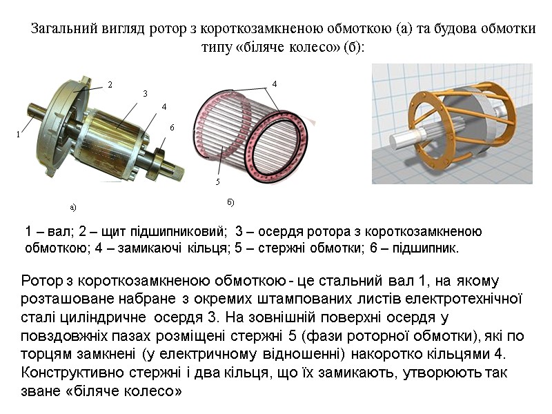 Загальний вигляд ротор з короткозамкненою обмоткою (а) та будова обмотки типу «біляче колесо» (б):